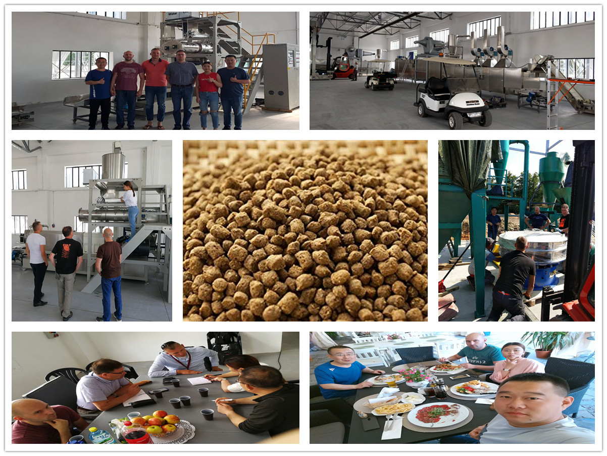 Our 1t/h fish feed production line in Poland
