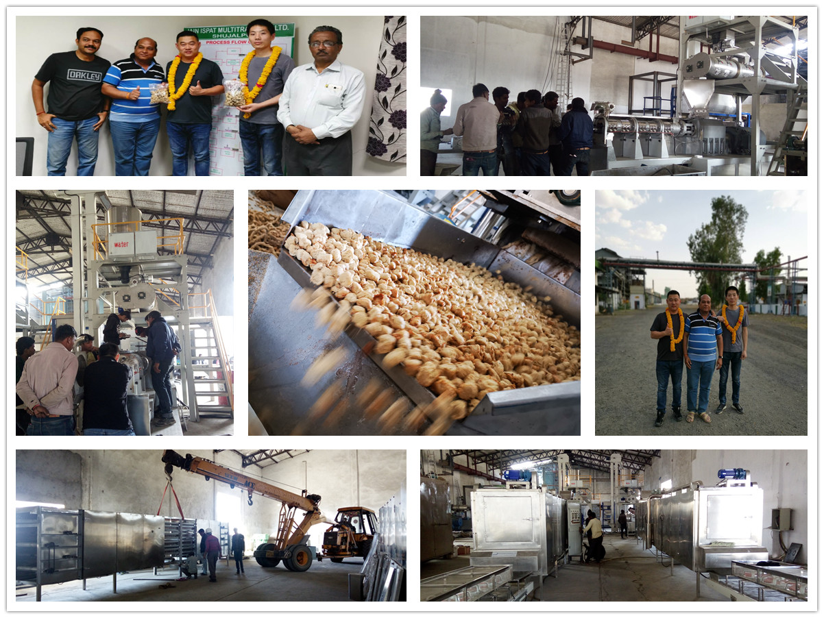 Our 2sets 1t/h soya protein machine line in India